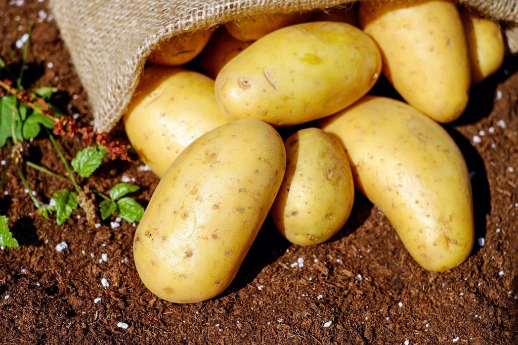 Η αγαπημένη πατάτα κρύβει ένα ισχυρό δηλητήριο